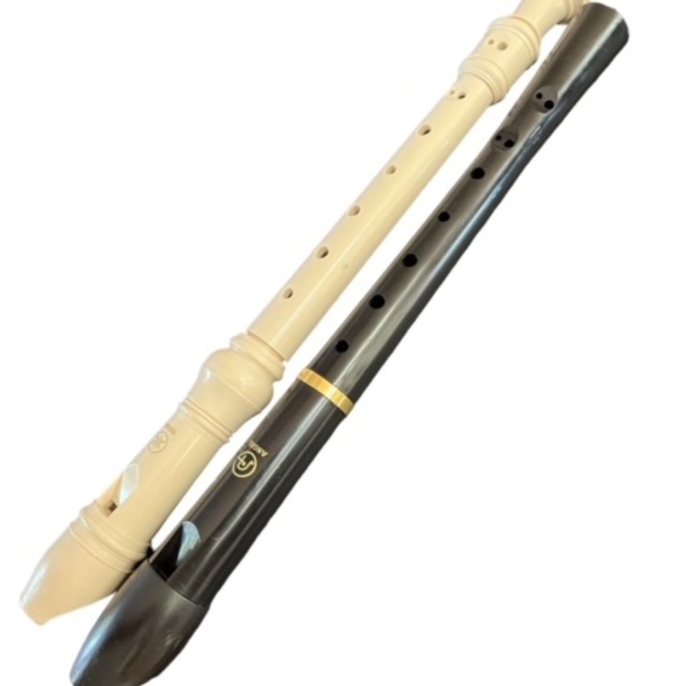 Recorders instruments - Picture 2 of 2